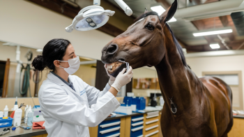 Zonder klanten geen ondernemer