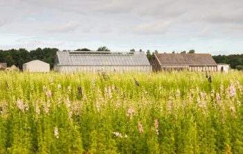 Bestemmingswijziging levert belastbare winst op