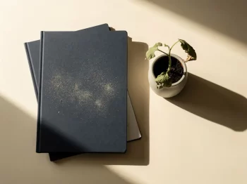 Verwaarloosde financiële map met stof op een bureau naast een verwelkende plant in keramische pot, zacht middaglicht.